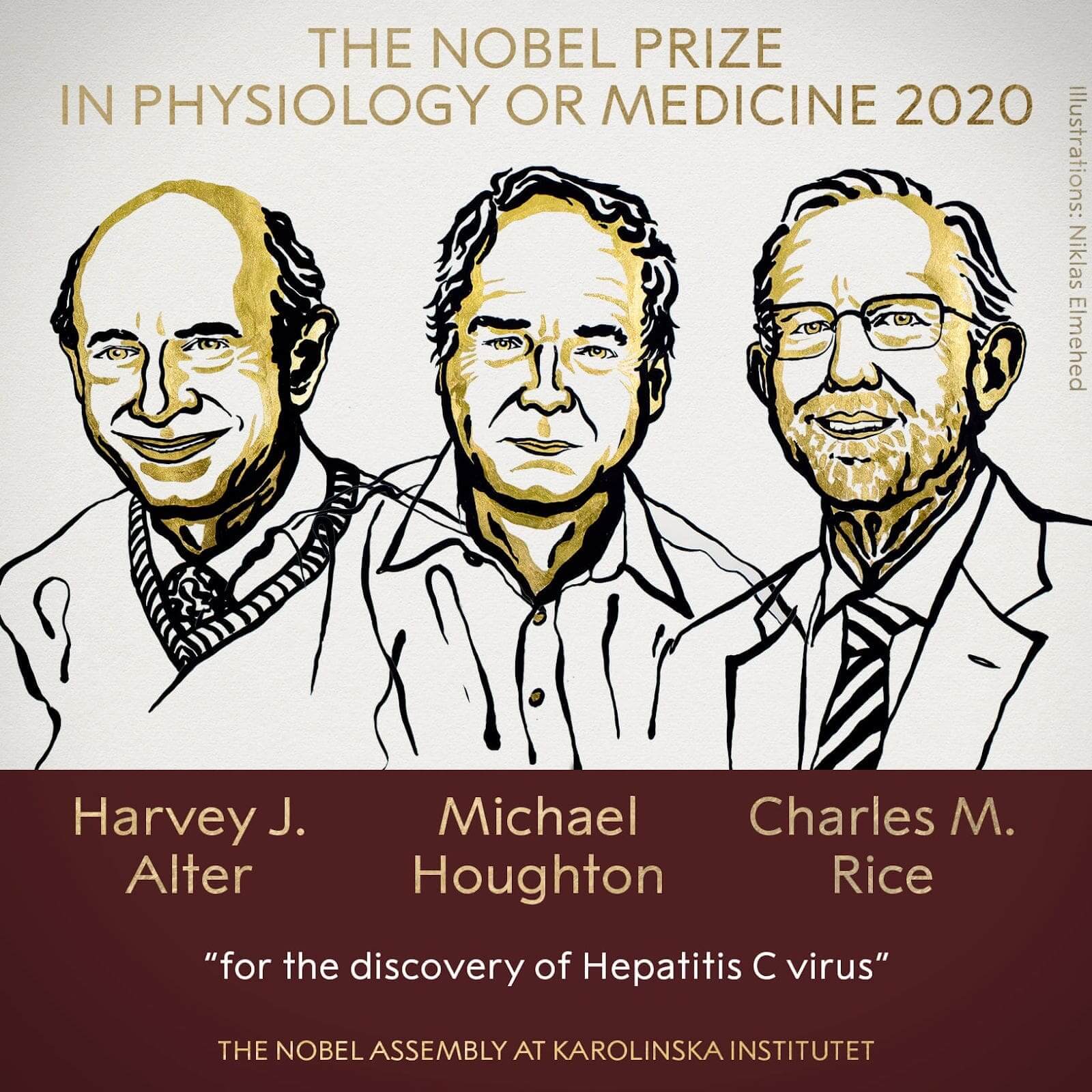 The Nobel Prize in Physiology or Medicine 2020